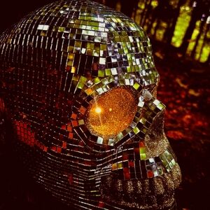 Disco ball skull